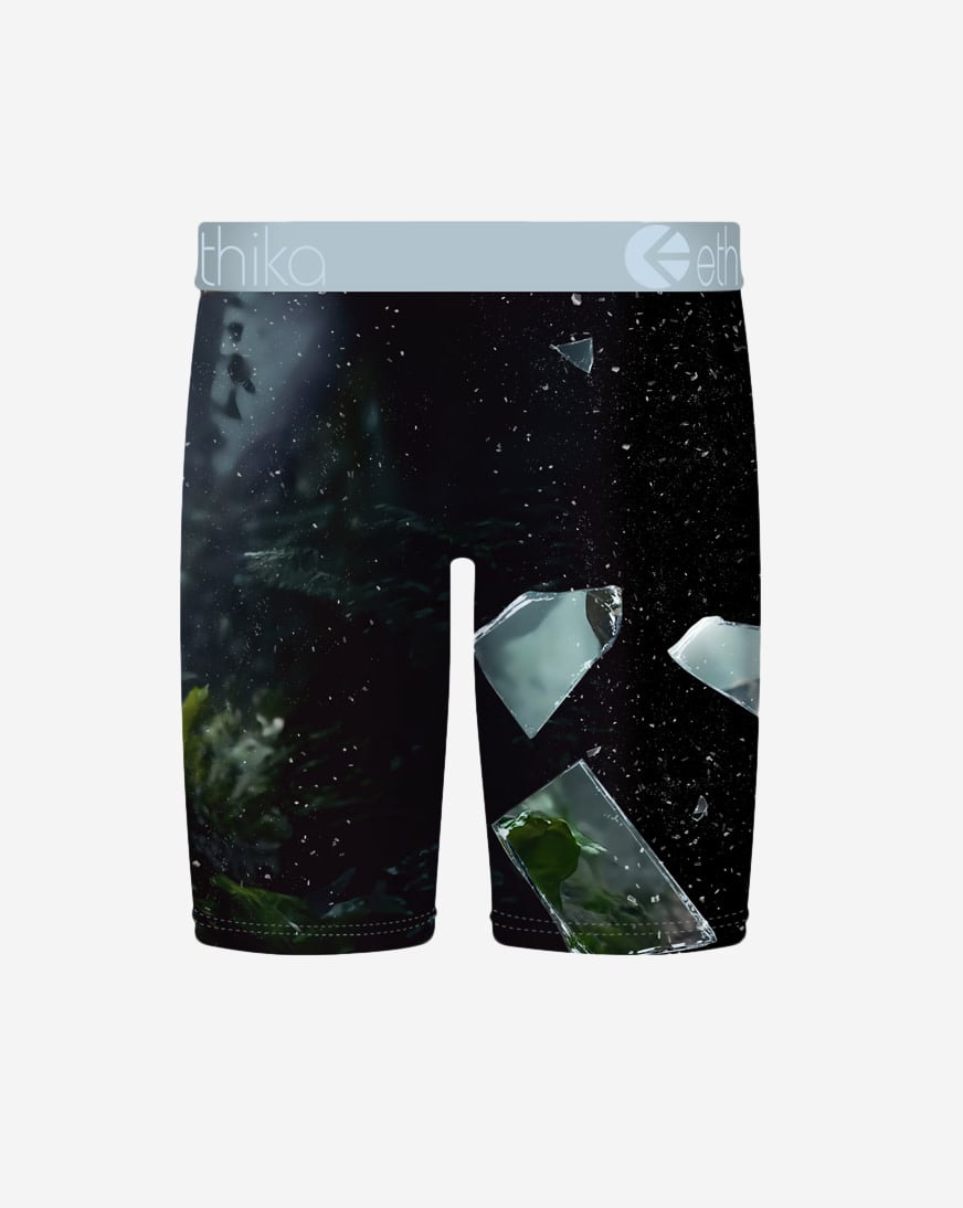 Grade School Shatter Cat Briefs