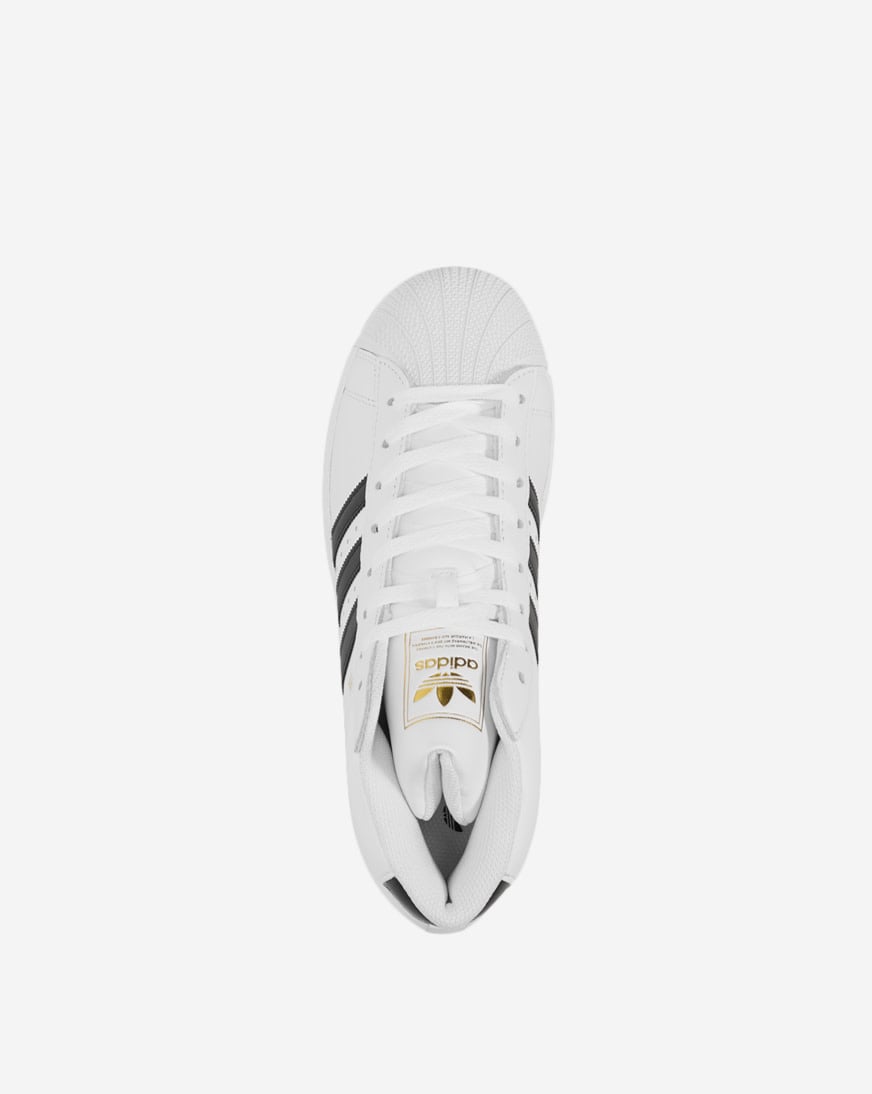 Pro Model