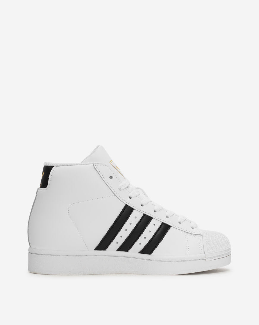 Grade School Pro Model