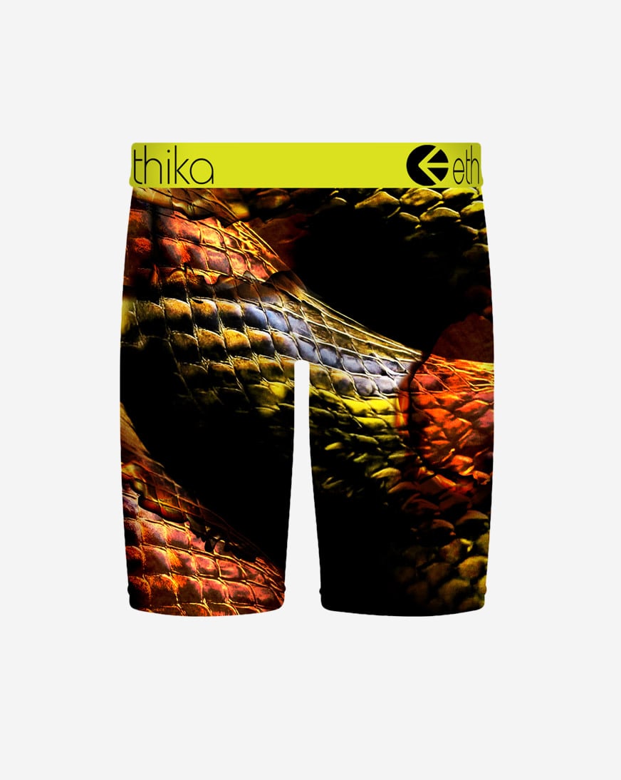 Grade School Bite Back Briefs