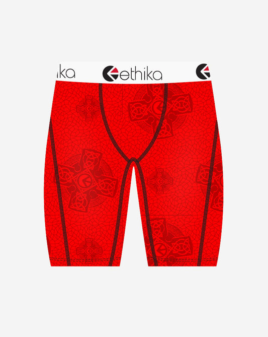 Prophesy Briefs