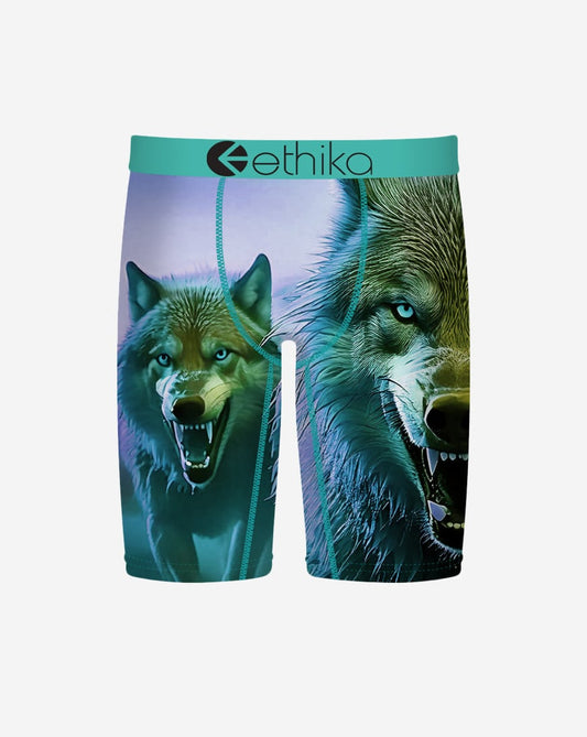 Sierra Briefs