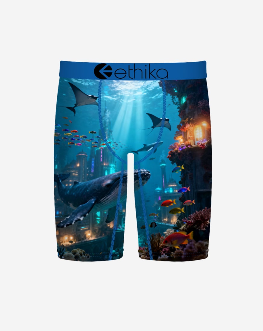 Wadaworld Briefs