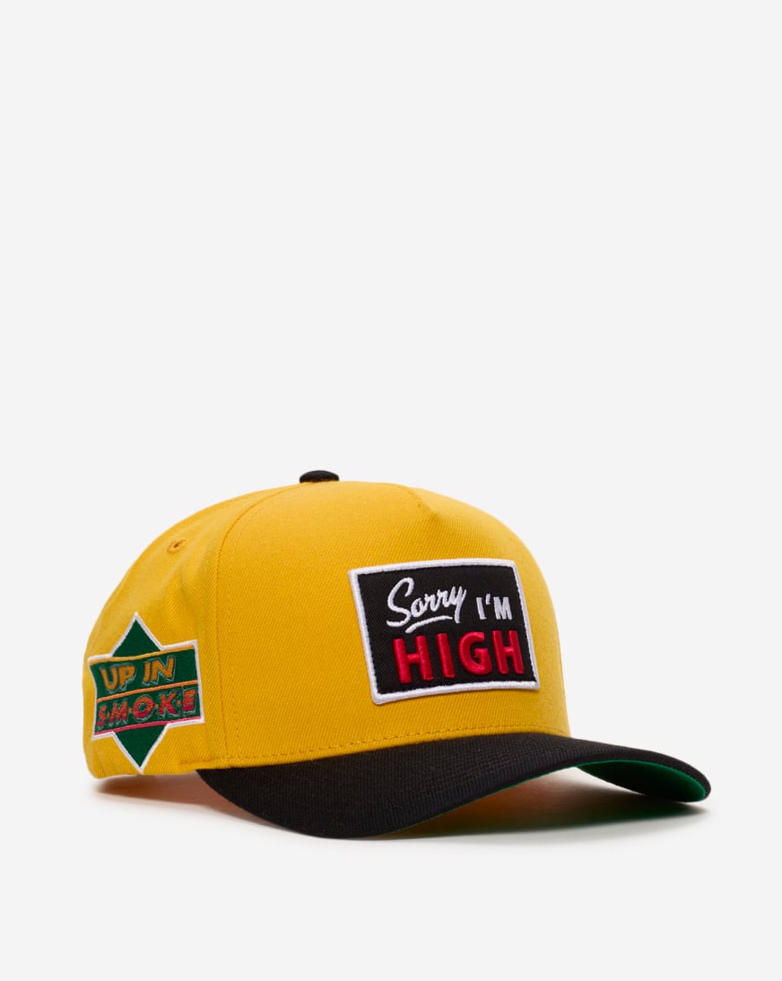 Sorry I'm High 2 Tone Wool Trucker