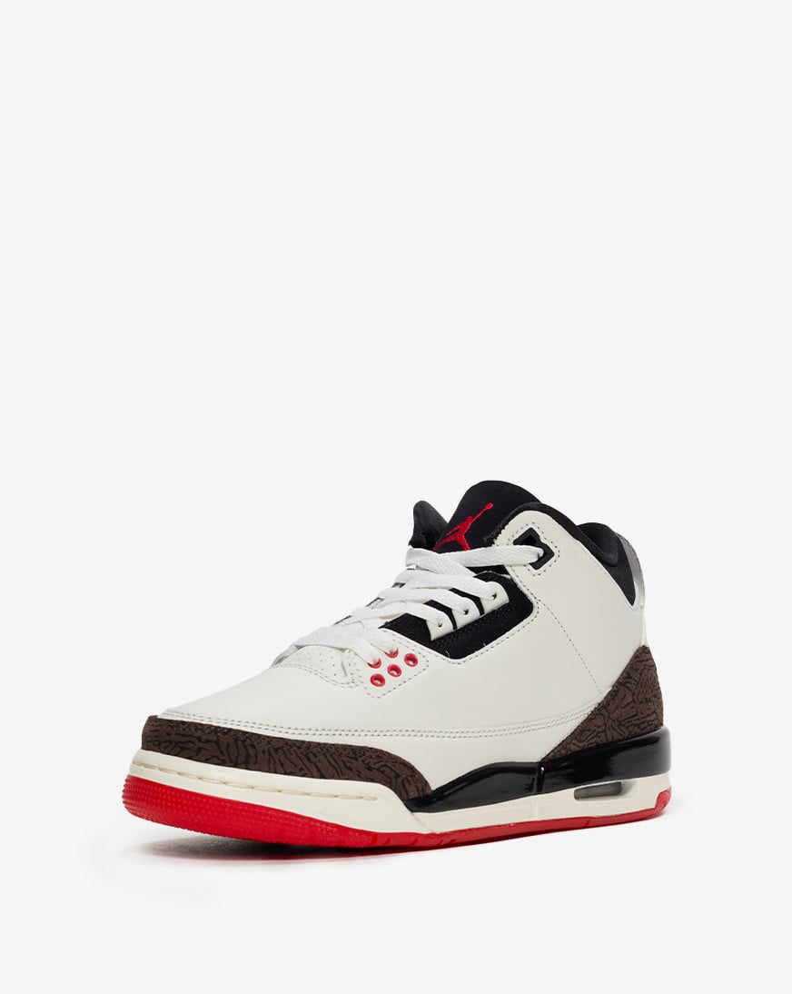 Big Kids' Air Jordan 3 "World's Best"