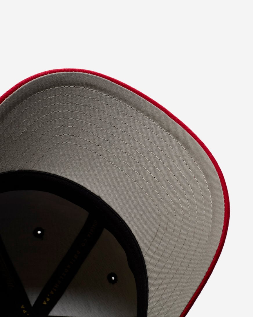 Chicago Bulls Pro Crown Championship Snapback Hat