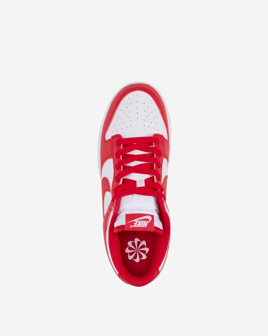 Dunk Low Next Nature