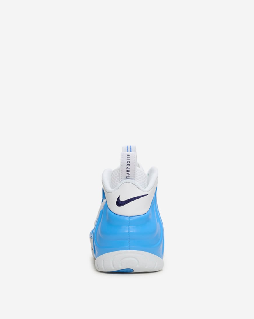 Air Foamposite Pro