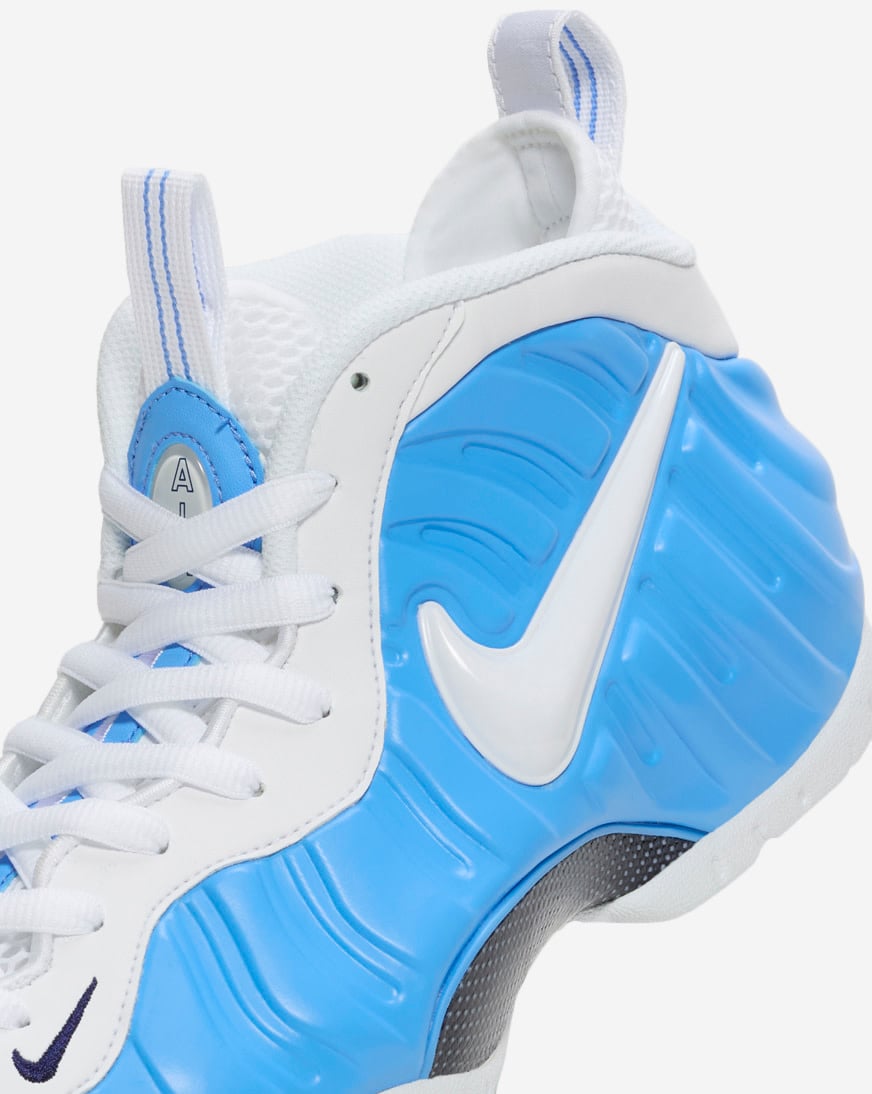 Air Foamposite Pro