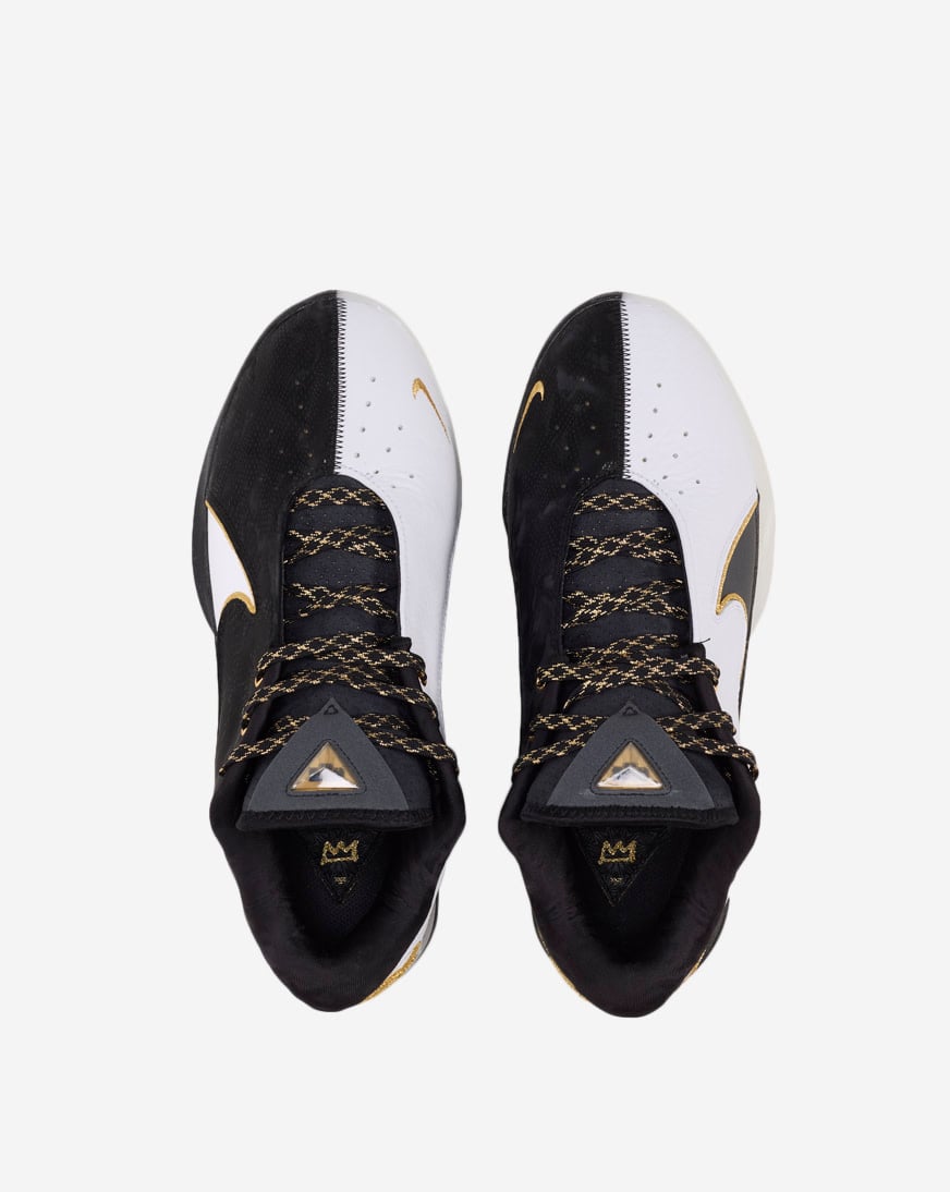 LeBron XX11