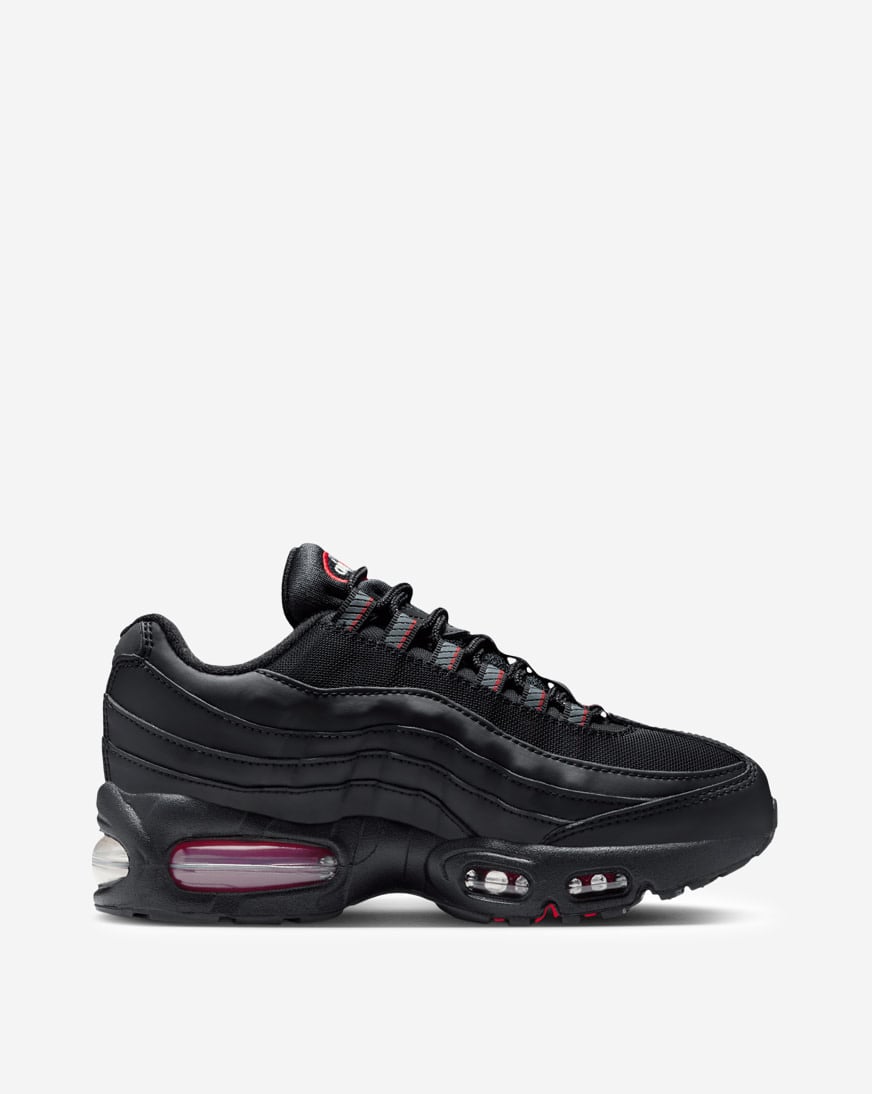 Big Kids' Air Max 95