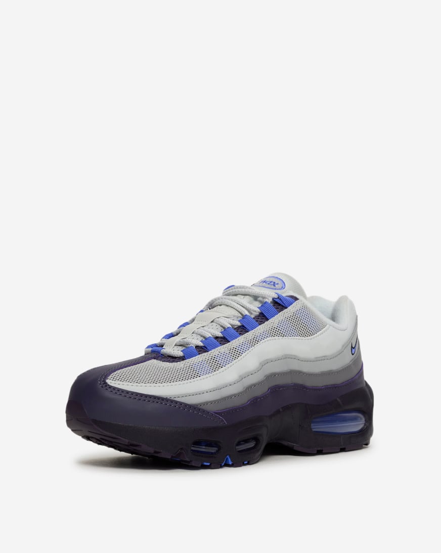 Big Kids' Air Max 95