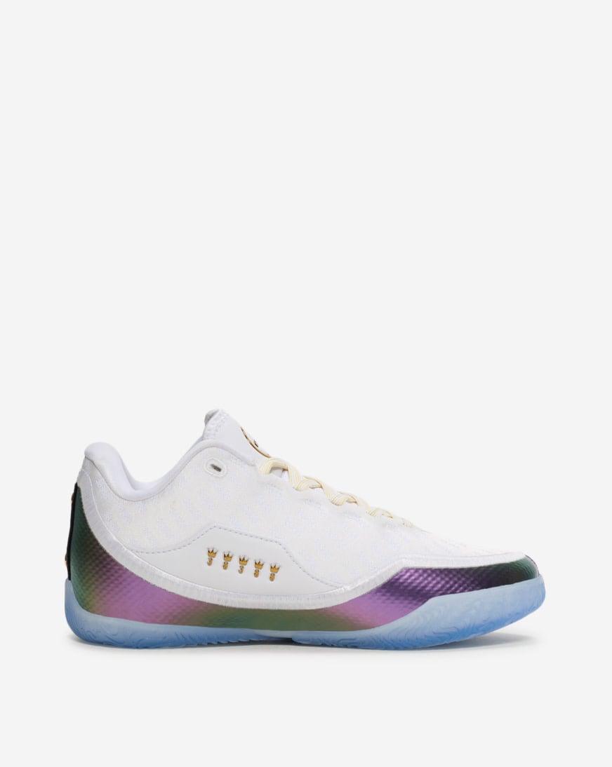 Big Kids' LeBron XXIII "For The Record"
