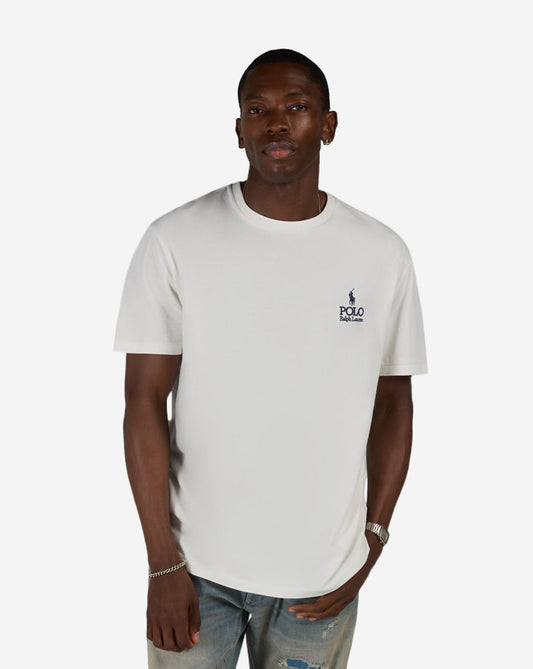 Jersey Knit Graphic Polo T-Shirt