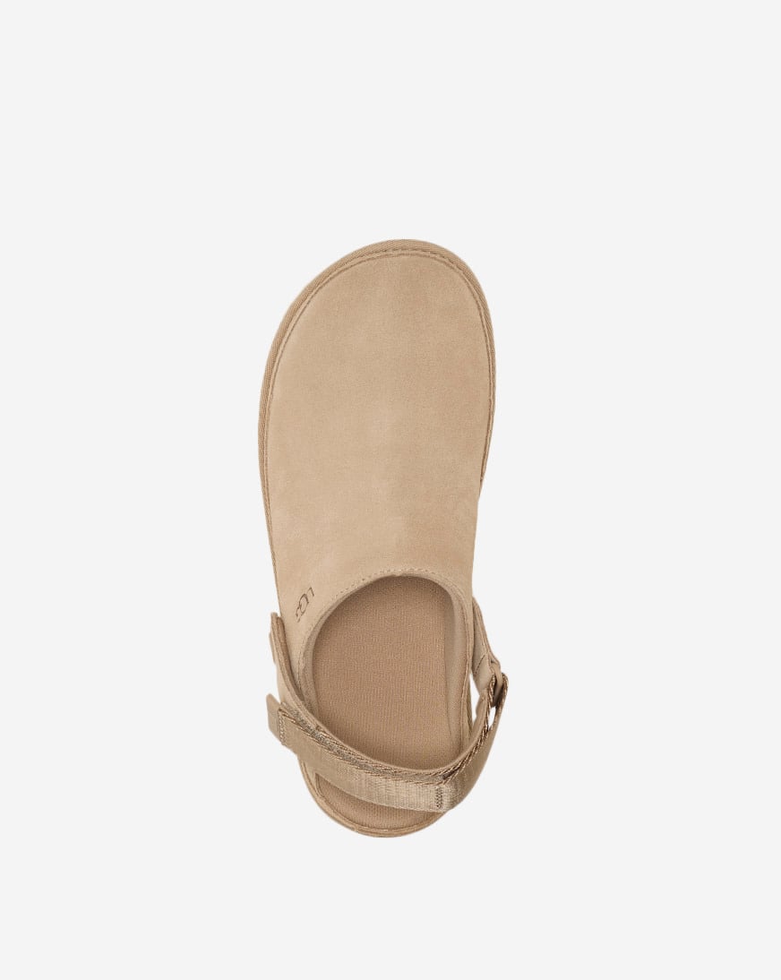 Goldenstar Clog